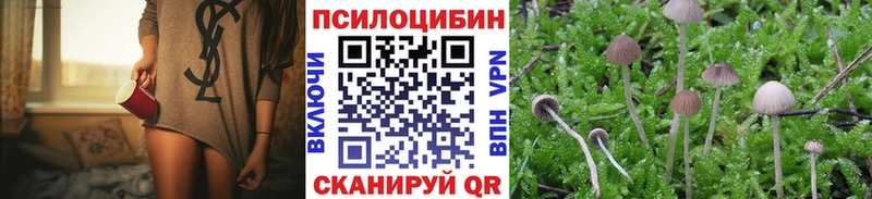 Псилоцибиновые грибы Psilocybe  Духовщина 